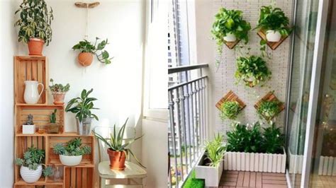 客廳植物佈置 向日葵 風水